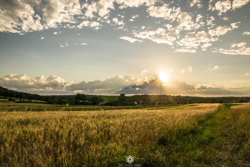 Agroturystyka Szumynowiny Majdan Sopocki Экстерьер фото